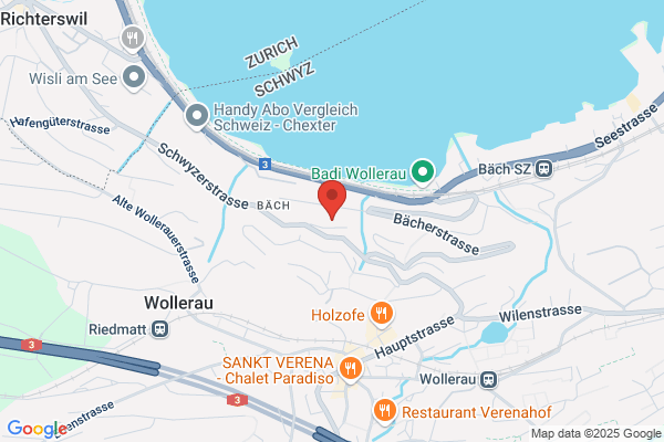 Lechner Consulting