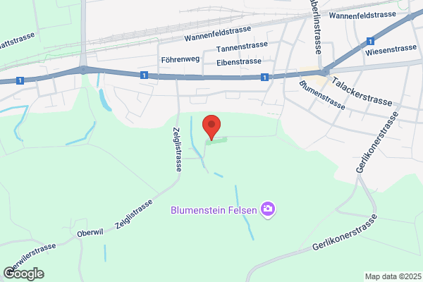 Greminger Treuhand GmbH