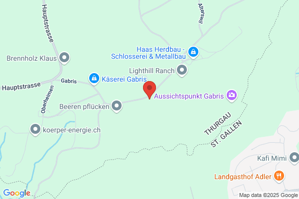 WAF-Werbe-Agentur Frischknecht
