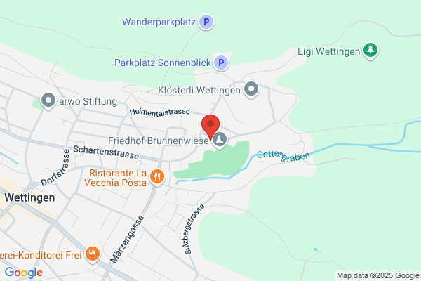 Verdampferreinigung Widmer