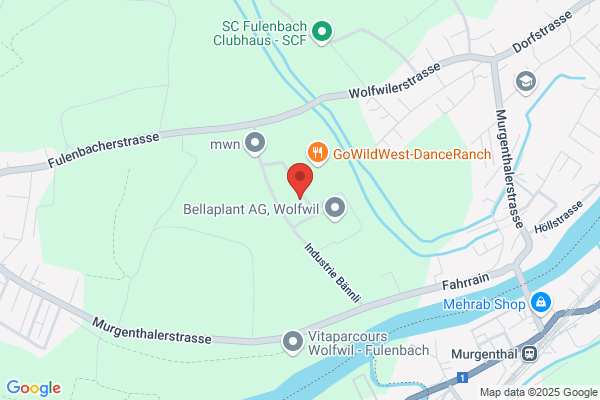 Kissling Holzbau AG