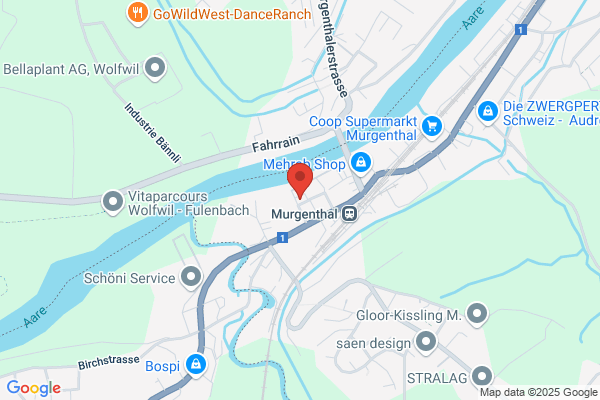 TSE Troller Schweizer Engineering AG