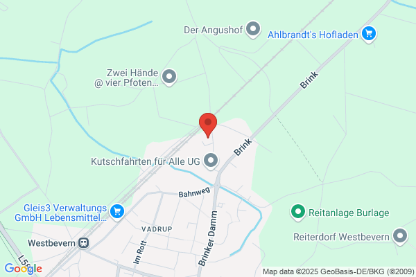 RS Consulting Schaerer