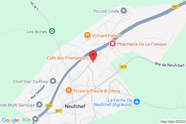 le Promeneur