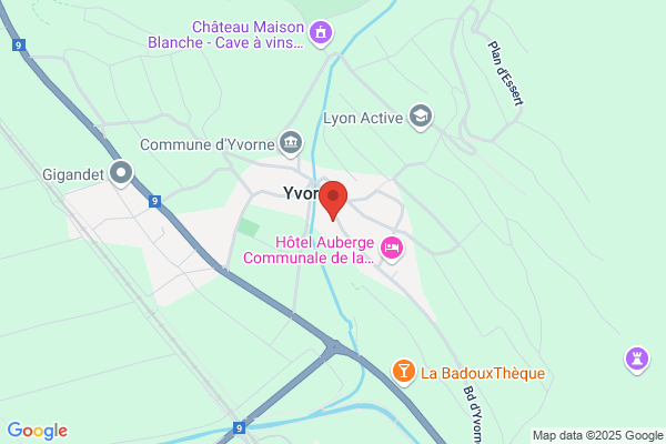 MAYOR - VINS