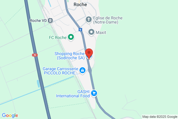 Sodiroche SA
