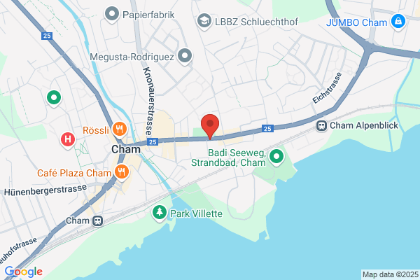 Anzidei Sicherheitsanlagen GmbH