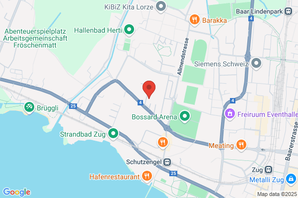 SENIS GmbH