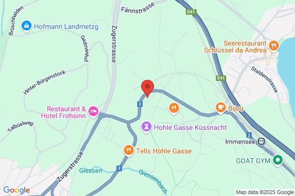 OpenStorage Schweiz AG
