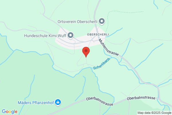 Schweiz. Berufsverband f. Tanz u. Gymnastik SBTG