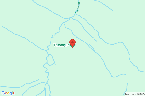 Tamangur AG
