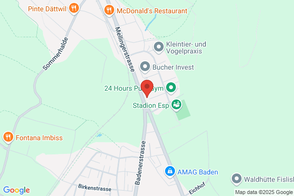 Bischof und Partner AG