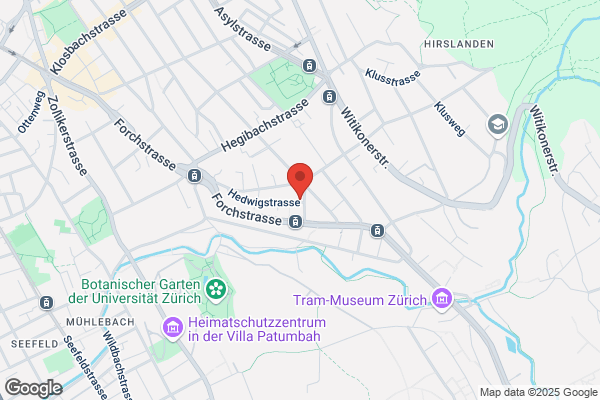 Kurt Leimer Stiftung