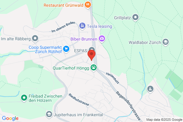 Zahntechn. Labor F. Birchler
