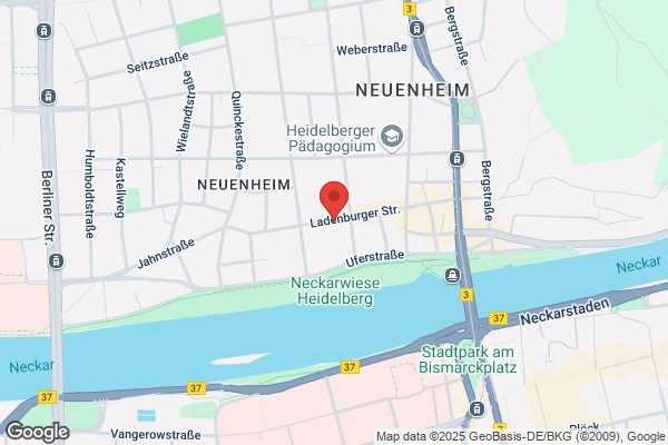 Pinzon und Co Graphic und Art-Design
