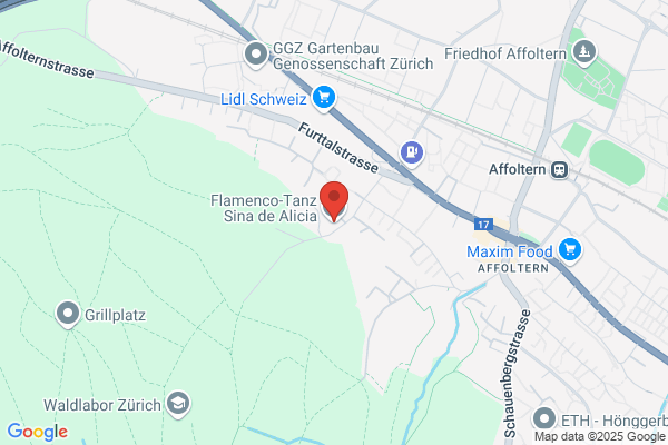 Tanzschule Flamenco Alicia