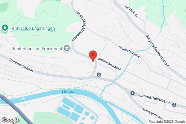 RADIS Umzüge