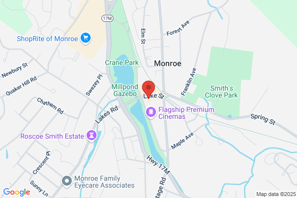 MonRo Watch