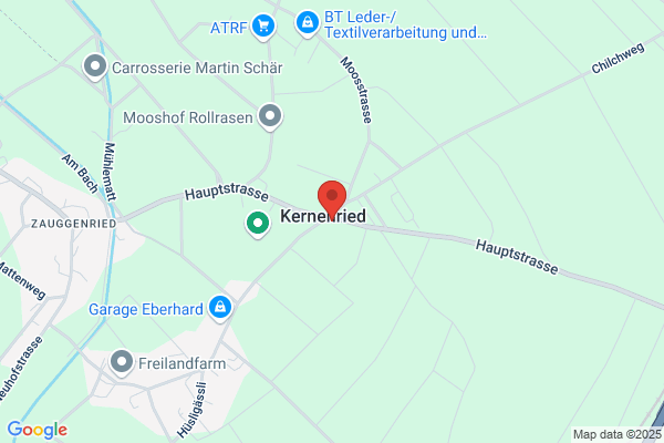 Gasthof zum Loewen
