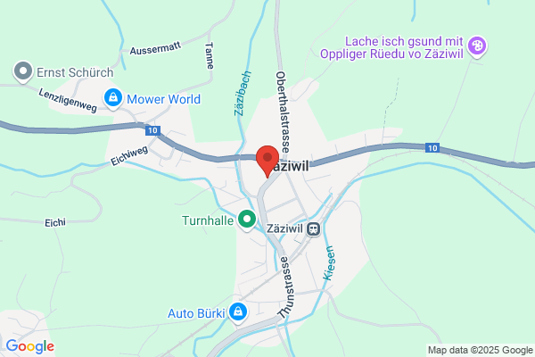 Automalerei Trachsel