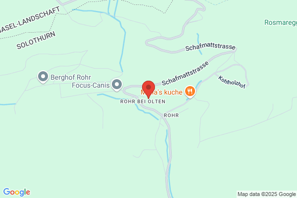 Restaurant Frohsinn