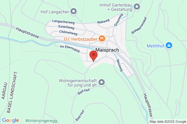Train Store Wellig GmbH
