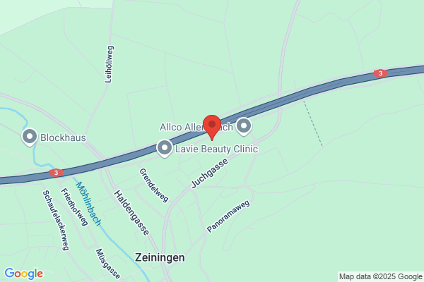 Steiner Holztrans AG