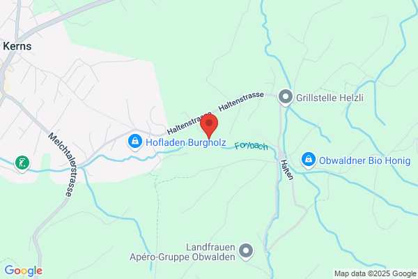 Franz Roethlin