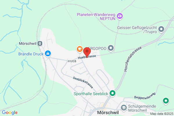Gaertnerei Aebi GmbH