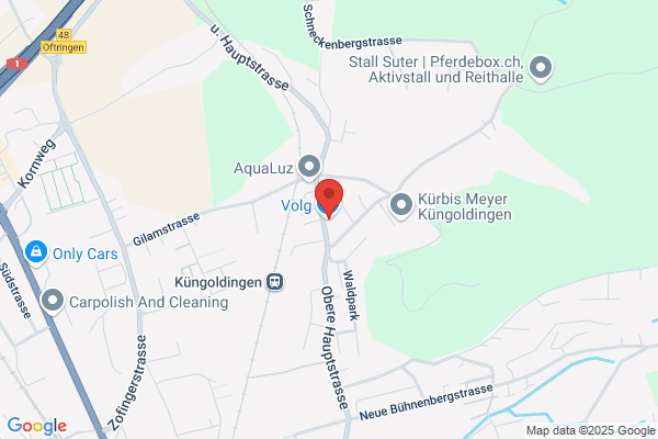 Die Schweizerische Post Kuengoldingen