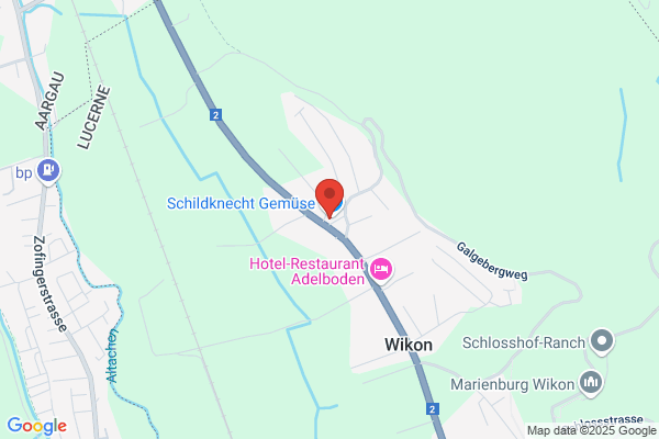 Peter Schildknecht