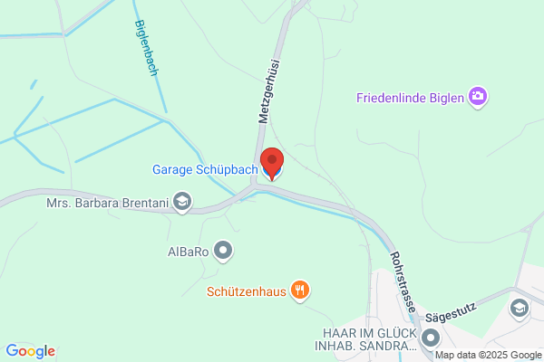 WEZU Car Styling