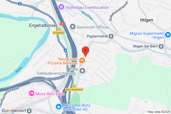 Wuffgang Hundephysiotherapie - Hundeschule Bern