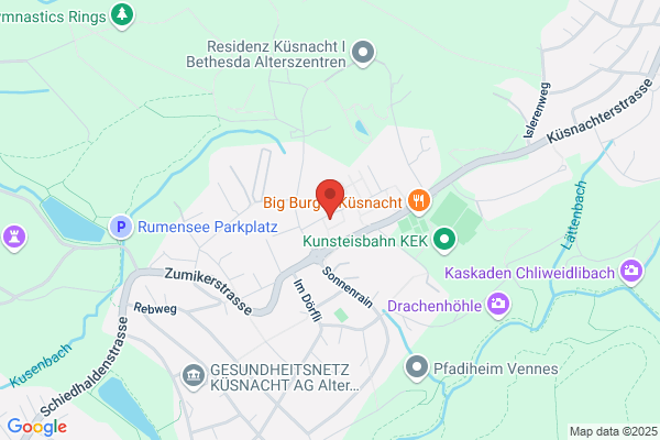 Rigi Consulting