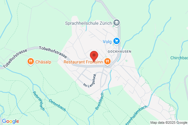EIS Europa Institut Schweiz