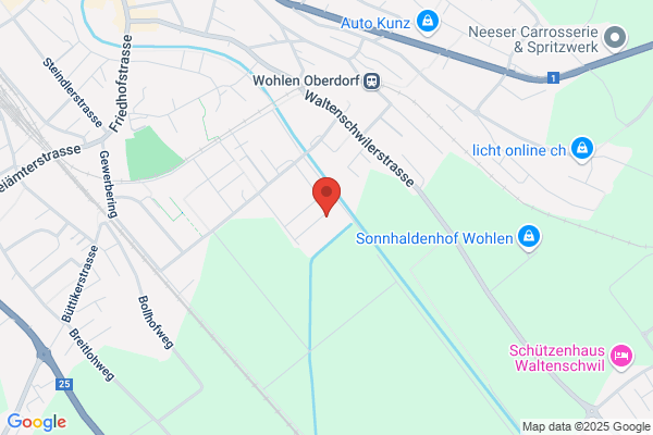 Platinsoft GmbH