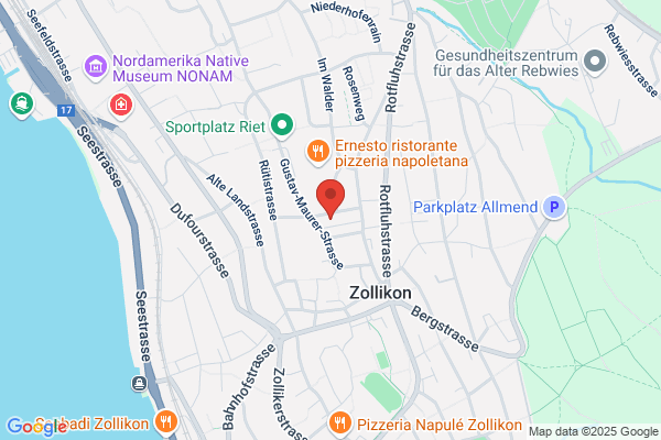 TELSEC ESS Schweiz AG