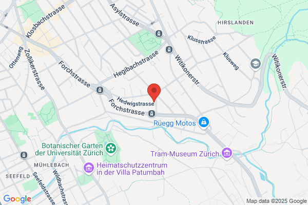Kurt Leimer Stiftung