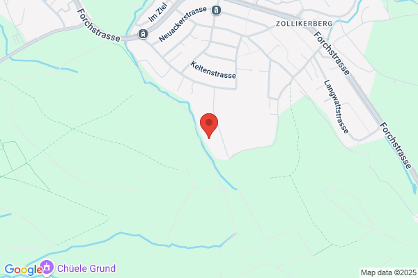 lic.phil. Arnold Frauenfelder