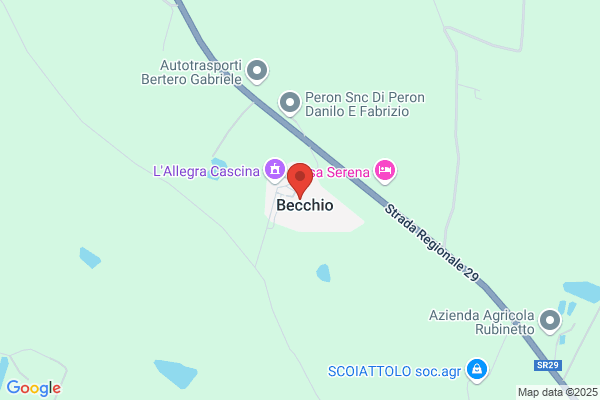 Becchio, Reutimann, Noseda