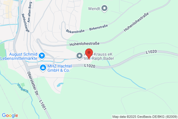 Internet Reisen Ziegler