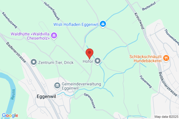 Percula Consulting GmbH