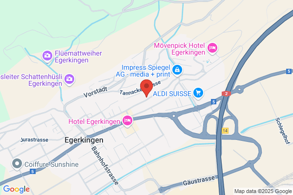 EGGER CONSULTING