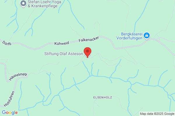Stiftung Assistenz Schweiz