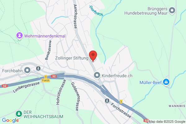 Zollingerheim Forch