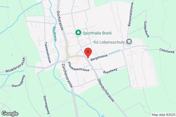 Roman Surber GmbH