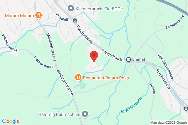 Waldvogel und Partner