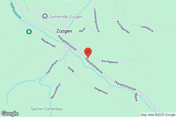 Hochstrasser u. Hasler
