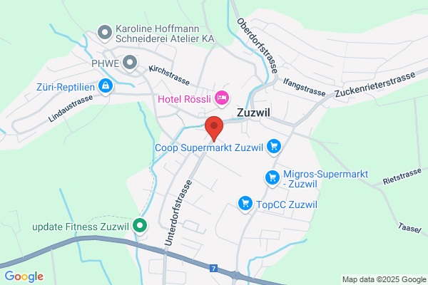 Fasnacht24.ch