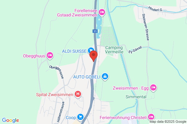 Geschuetzte Werkstaette Obersimmental u. Saanenland